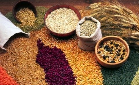 Alimentos con gluten