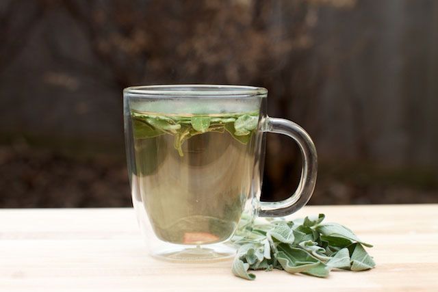 Salvia en infusión