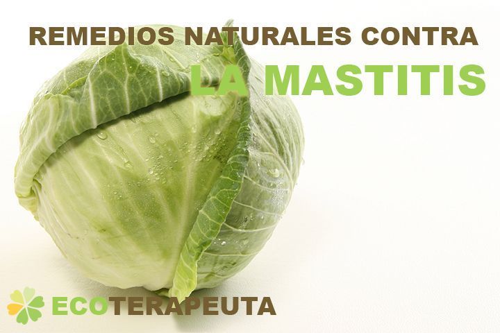 Remedios naturales contra la mastitis