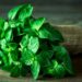 Menta - Beneficios para la salud